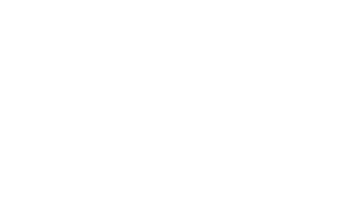 Lawyer